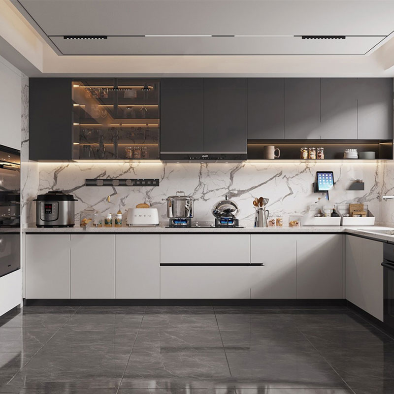 Stainless Steel Kitchen Cabinet